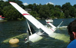 plane in lake